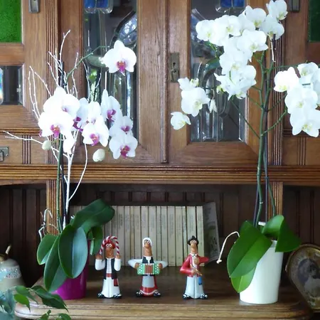 Maison d'hôtes Cr Luarri